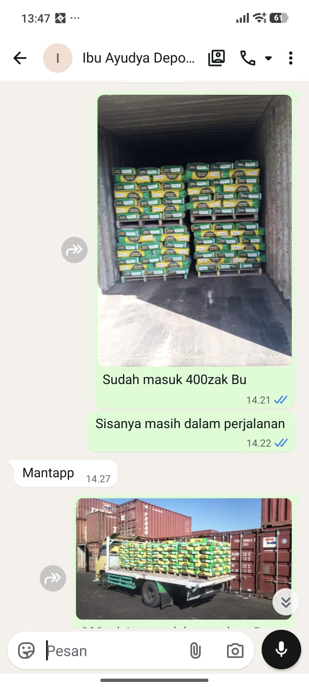 Testimoni Semen Mortar MU 301 600 Zak Kirim ke Ambon Maluku